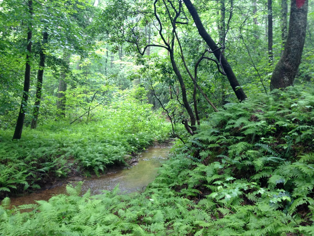 Threshold × Eumicus